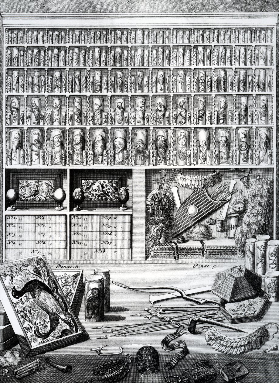 Taulukko V Levinus Vincentin Elenchus Tabularumista, julkaistu 1719 tekijältä Dutch School