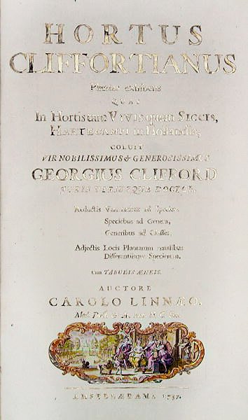 Carl Linnaeuksen (1707-78) teoksen Hortus Cliffortianuksen nimisivu Amsterdam, 1737 (painettu) tekijältä Dutch School