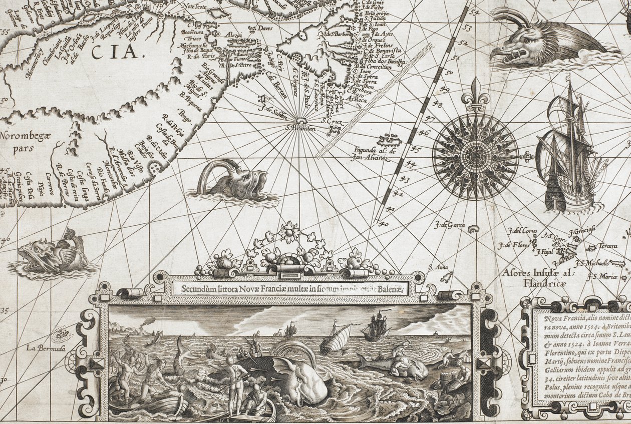 Yksityiskohta kahdesta vanhanaikaisesta valasta muistuttavasta merihirviöstä ja upote, jossa on todenmukaisempia valaita, teoksesta "Nova Francia, alio nomine dicta Terranova, anno 1504..." tekijältä Dutch School