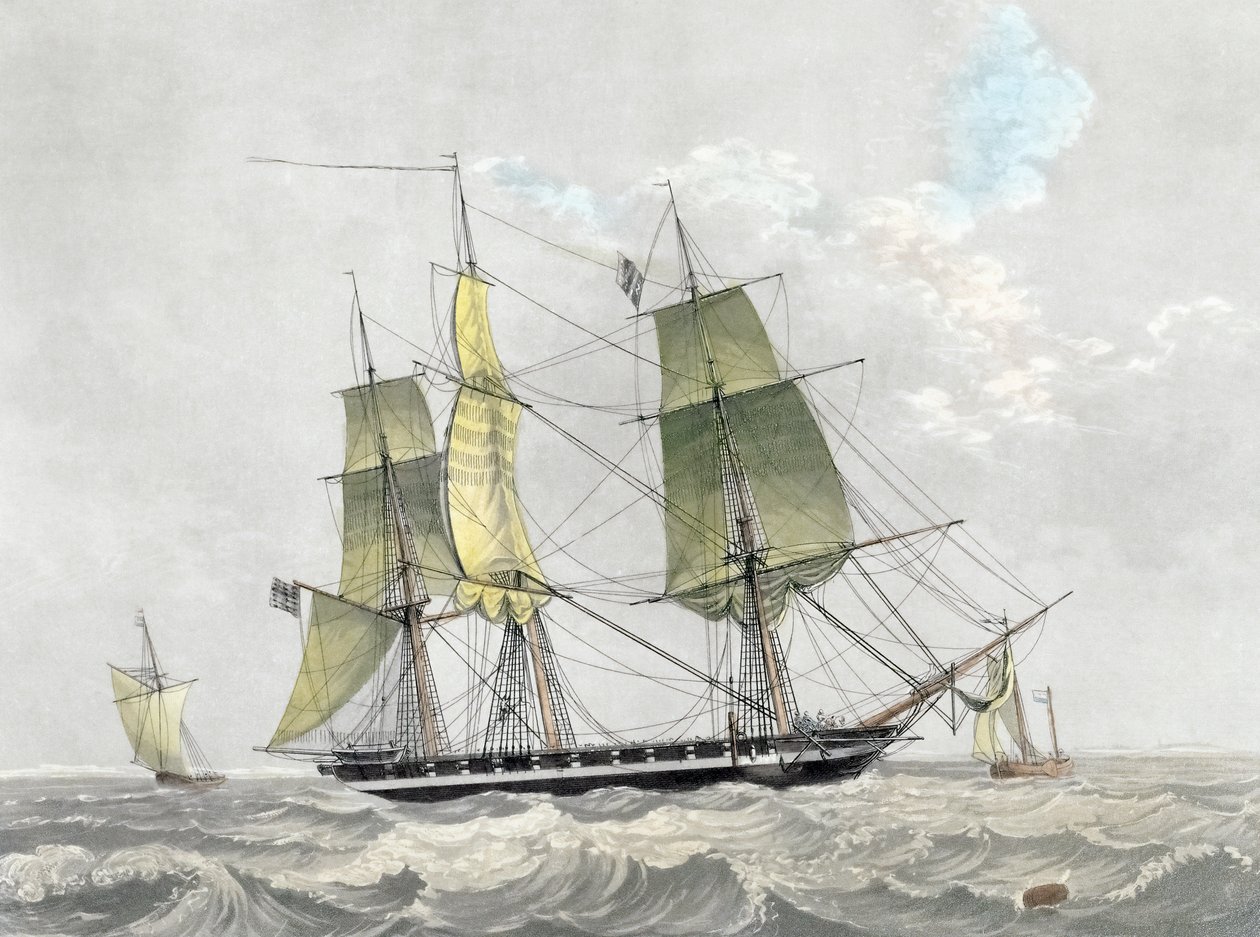 Amerikan laivaston korvetti purjeiden alla, 1800-luvun alku (tulostus) tekijältä Dutch School
