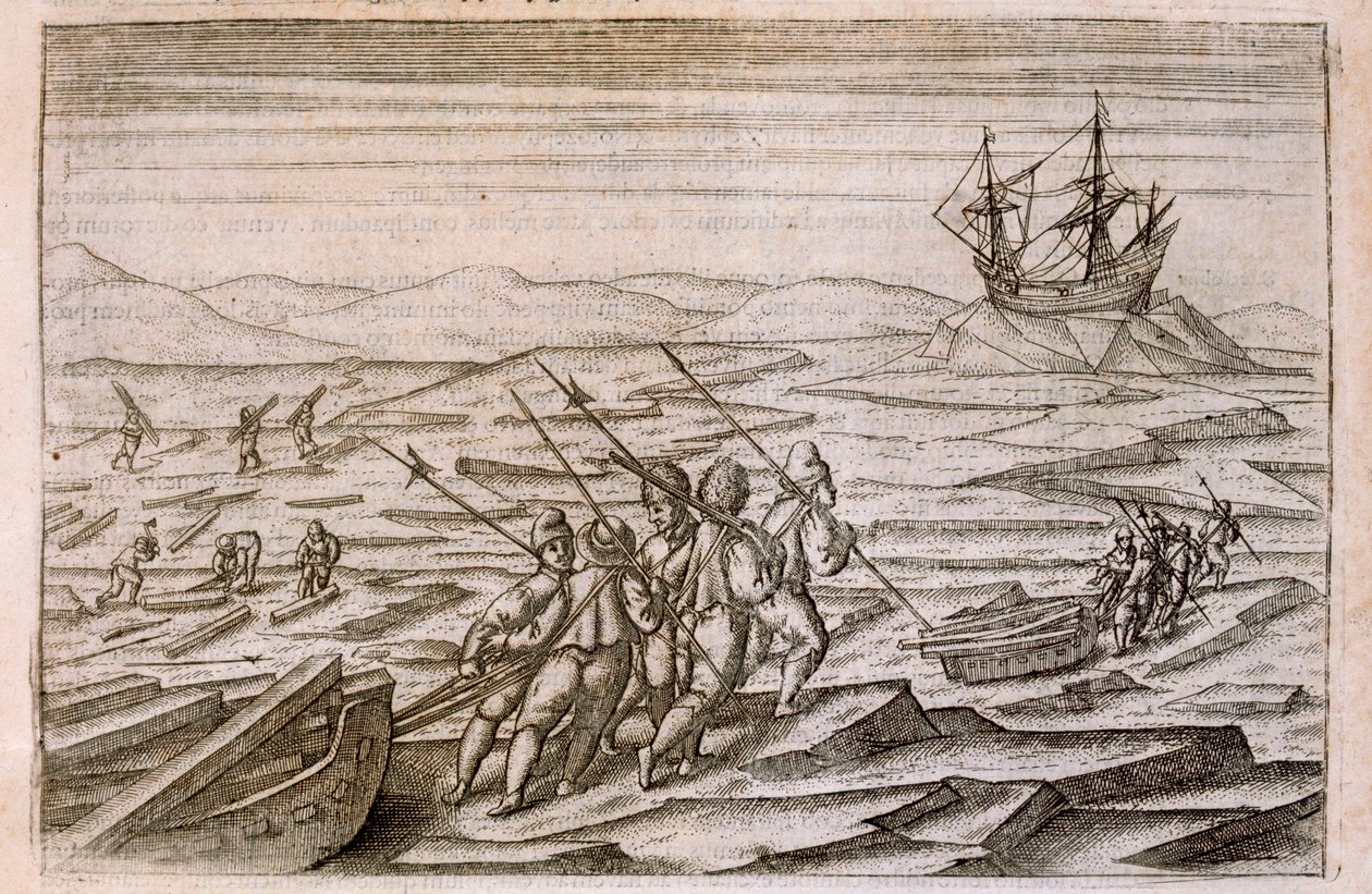 Kerätään ajopuuta mökille, jossa retkikunta talvehti, kuva Diarium Nauticumista, seu vera descriptio trium navigationum admirandarum... kirjoittanut Gerrit de Veer, 1598 tekijältä Dutch School