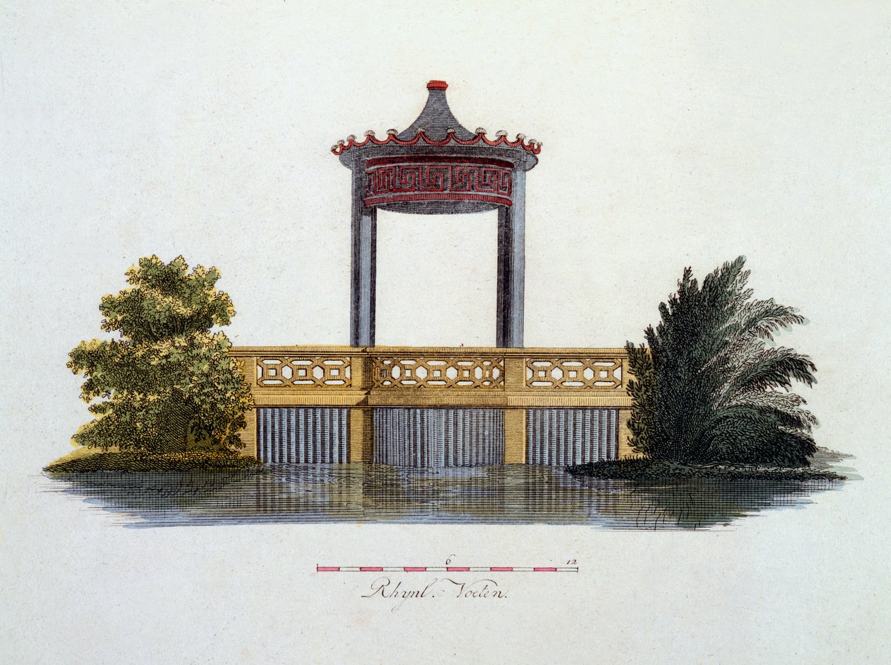 Kuvitus G. van Laarin Magazine of Garden Gems -lehdestä, julkaistu 1802 tekijältä Dutch School