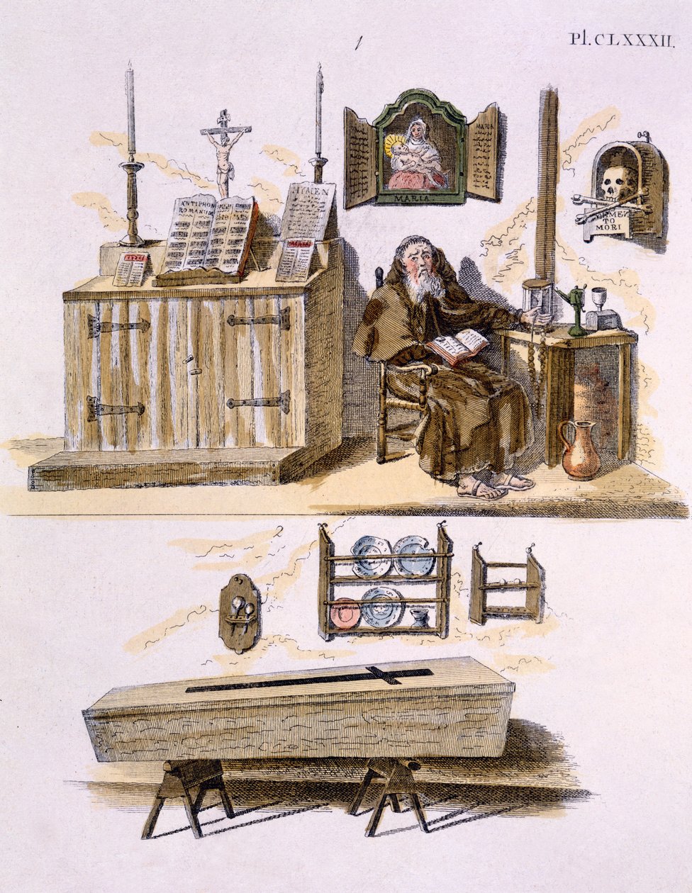 Kuvitus G. van Laarin Magazine of Garden Gems -lehdestä, julkaistu 1802 tekijältä Dutch School