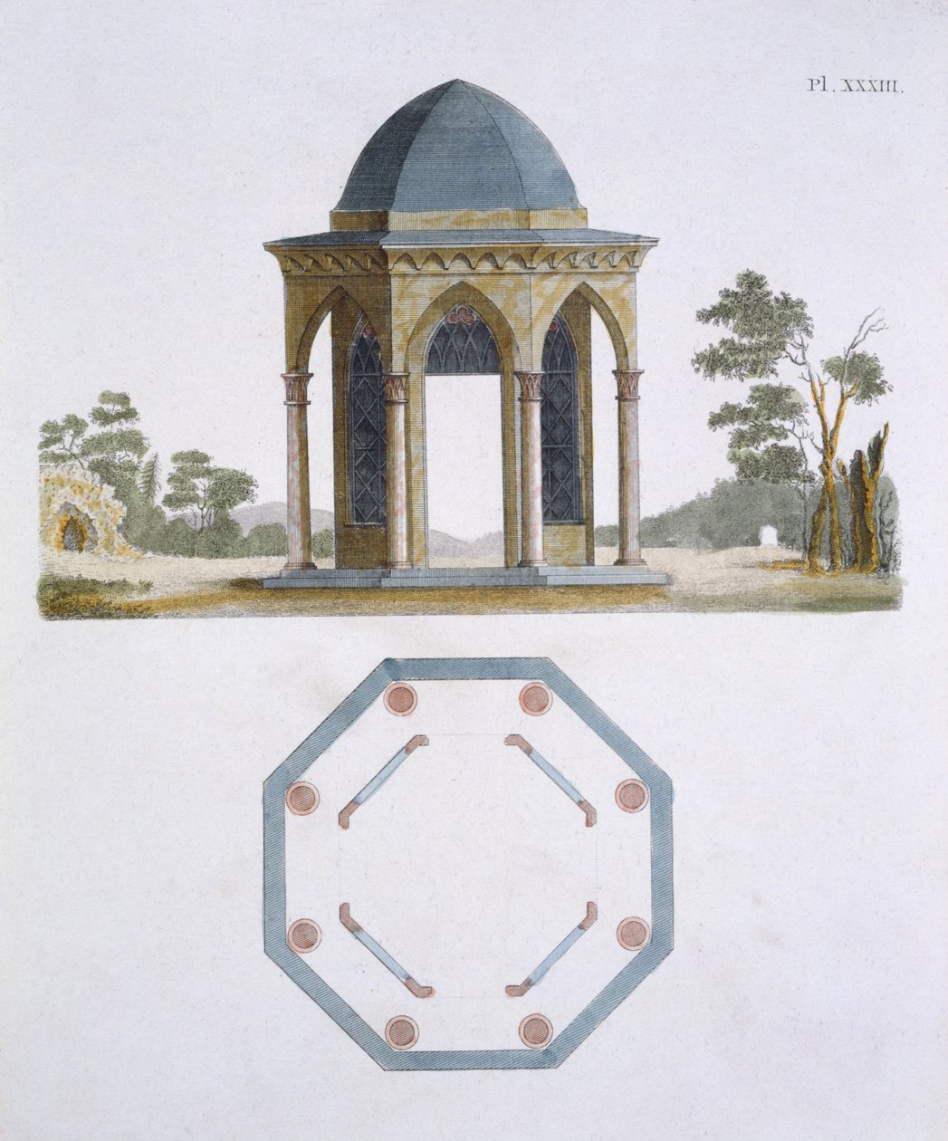 Kuvitus G Van Laarin Garden Gems -lehdestä, 1802 tekijältä Dutch School