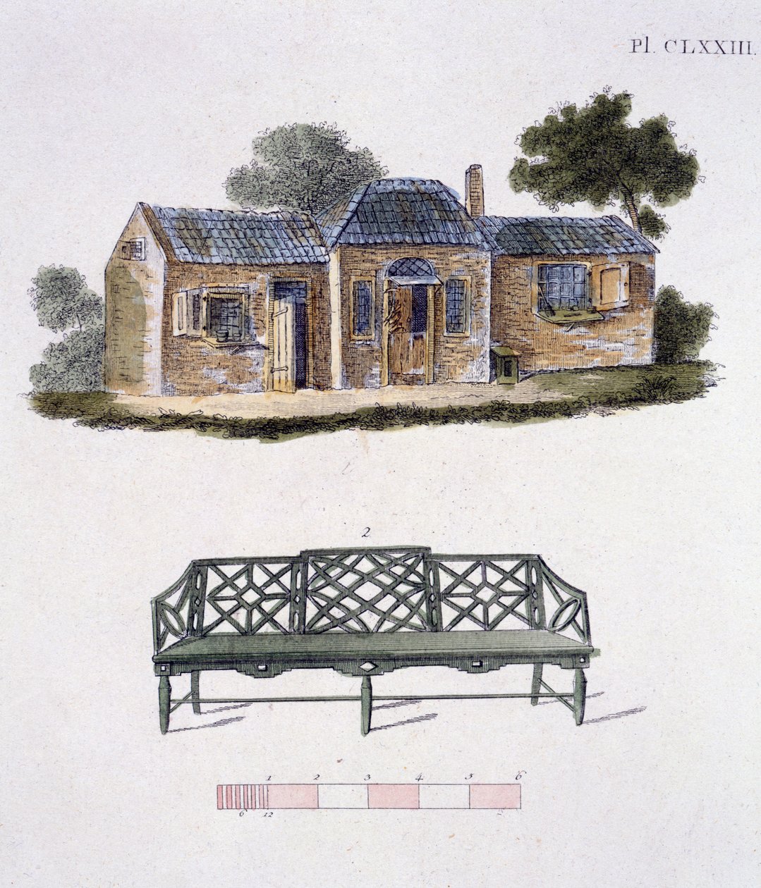 Kuvitus G Van Laarin Garden Gems -lehdestä, 1802 tekijältä Dutch School