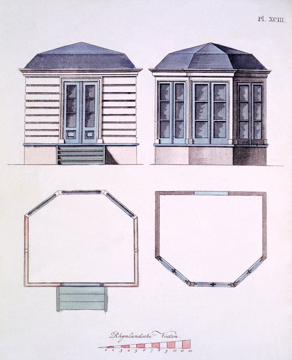 Kuvitus G Van Laarin Garden Gems -lehdestä, 1802 tekijältä Dutch School