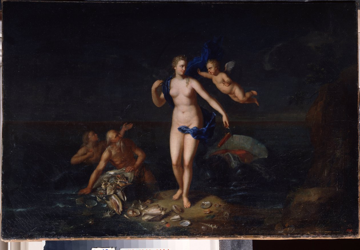 ""Venuksen syntymä"" (Venuksen syntymä) Anonyymi 1700-luvun hollantilainen koulumaalaus 1729 Valtion ulkoilmamuseo Palatsi Gatchina, Pietari, Venäjä tekijältä Dutch School