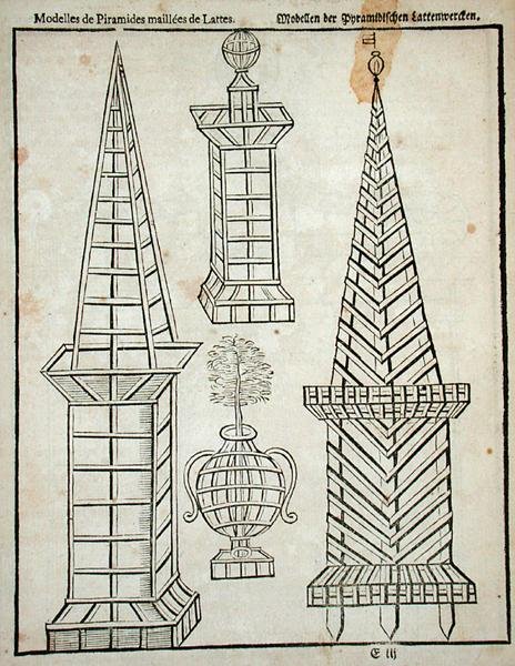 Latticework pyramidit, Johann van der Groenin teoksesta "The Dutch Gardener", julkaistu 1699 (kaiverrus) tekijältä Dutch School