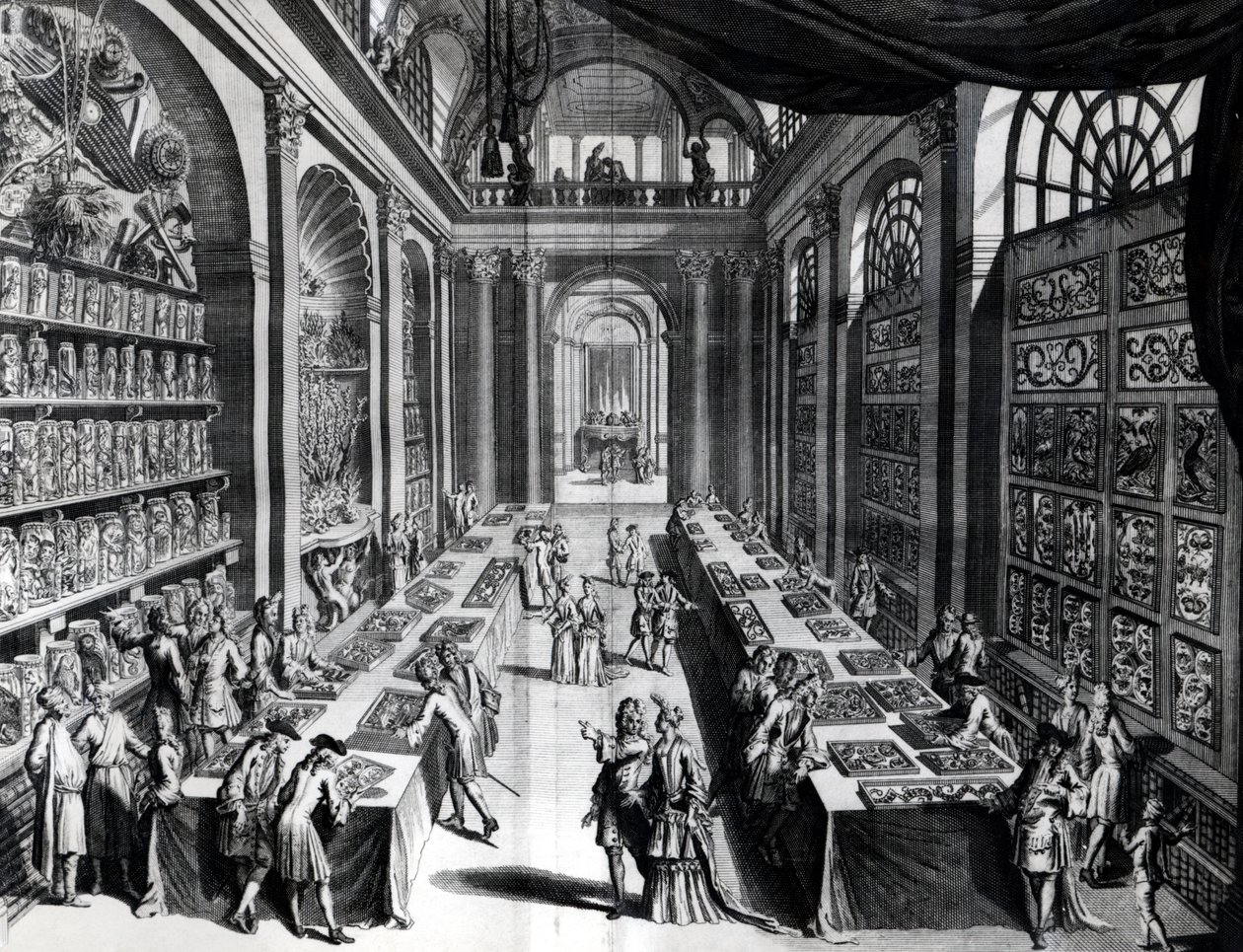 Levin Vincentsin kokoelma kurioosuuksia, kuvitus Theater de la Merveilles de la Naturesta, n. 1719 tekijältä Dutch School