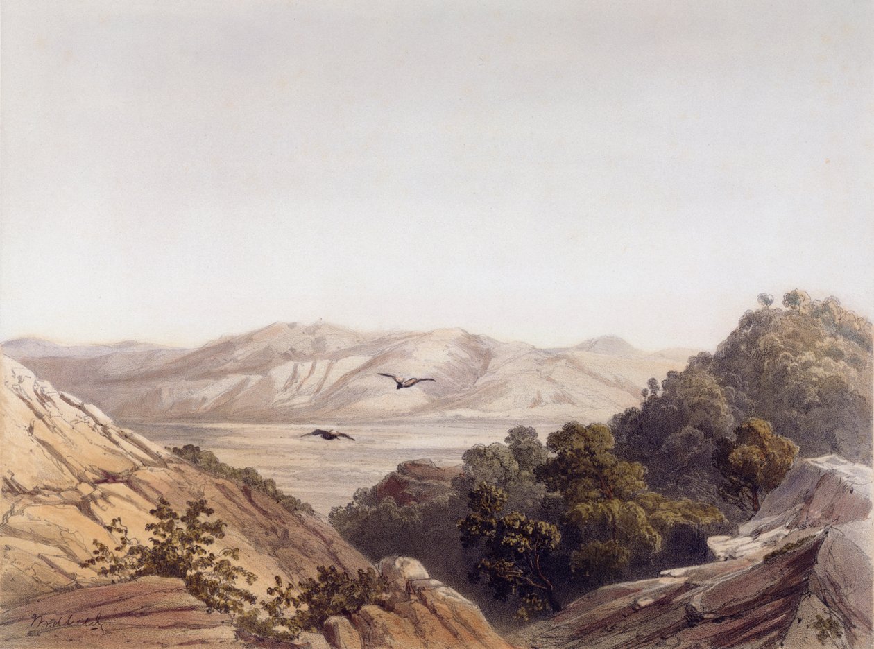 Mount Carmel, Israel, kaiverrus L. A Sabatier tekijältä Dutch School