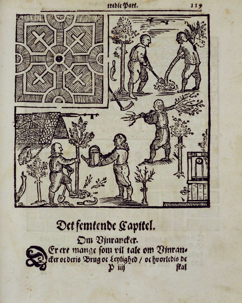 Puiden istuttaminen, Johann van der Groenin hollantilainen puutarhuri, julkaistu 1699 tekijältä Dutch School