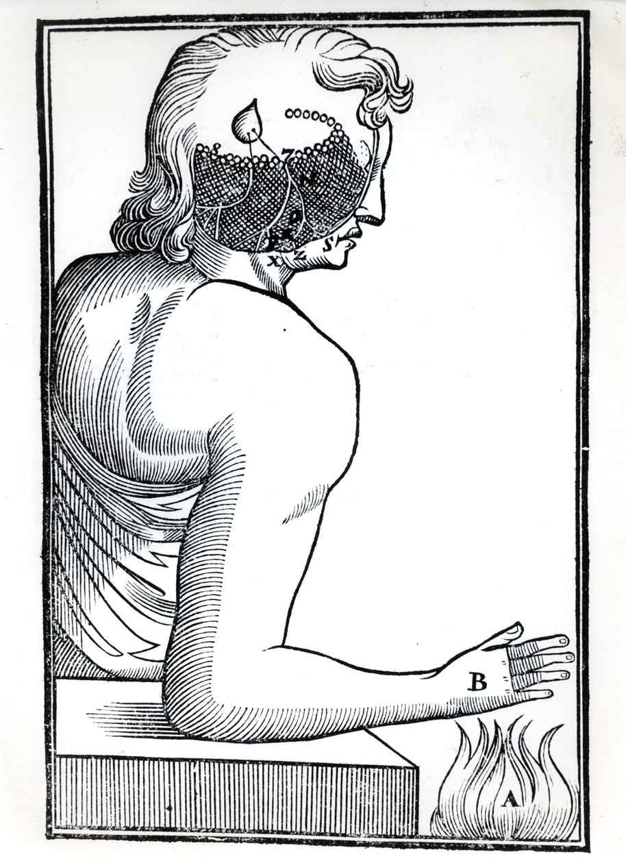 The Perception of Senses, Rene Descartesin (1596-1650) De Homine Figuris -teoksesta, julkaistu Amsterdamissa 1677 tekijältä Dutch School