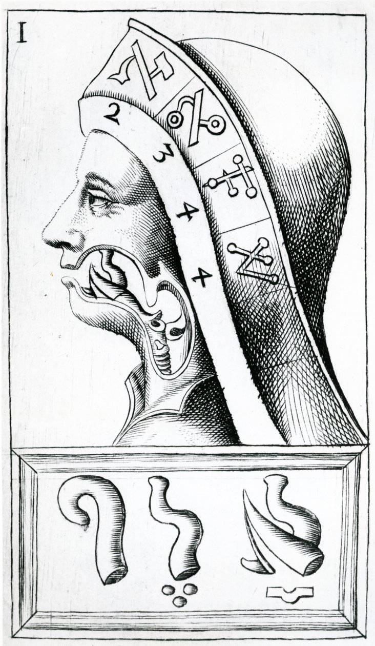 Kurkun liikkeitä käytetään heprean aakkosten ääntämisessä, kuva Alphabetum Naturasta (Luonnon aakkoset), F.M. van Helmont, 1667 tekijältä Dutch School