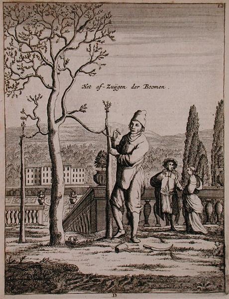 Espalierin koulutus, Jan Commelinin teoksesta "De Nederlandze Hesperides", julkaistu 1676 (kaiverrus) tekijältä Dutch School