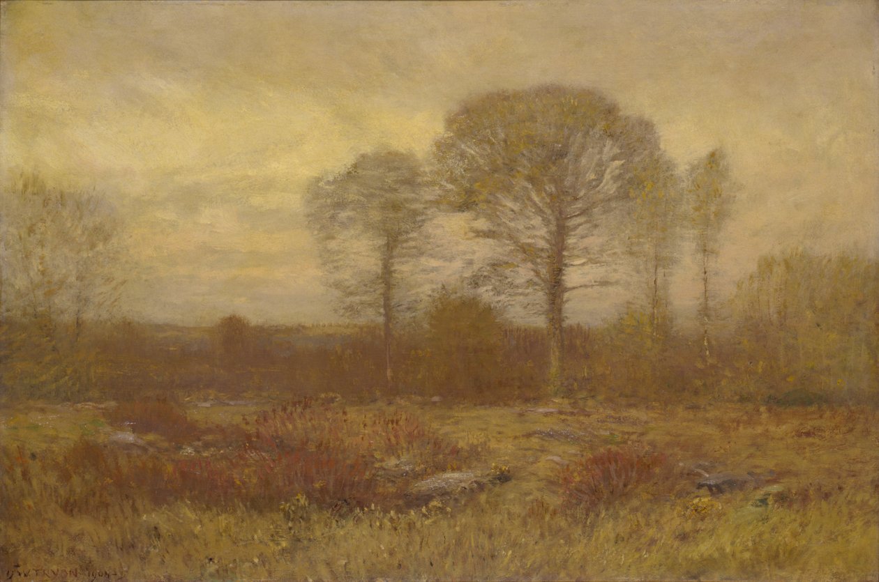marraskuuta 1904-1905. tekijältä Dwight William Tryon