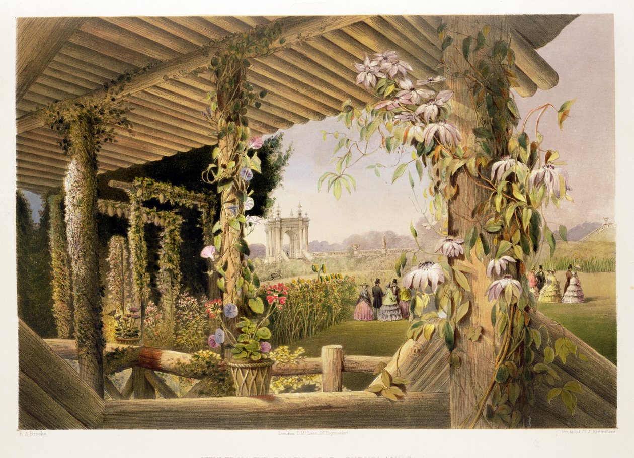 Näkymä Rustic Seatista, Shrublands, teoksesta "The Gardens of England", julkaistu 1857 tekijältä E. Adveno Brooke