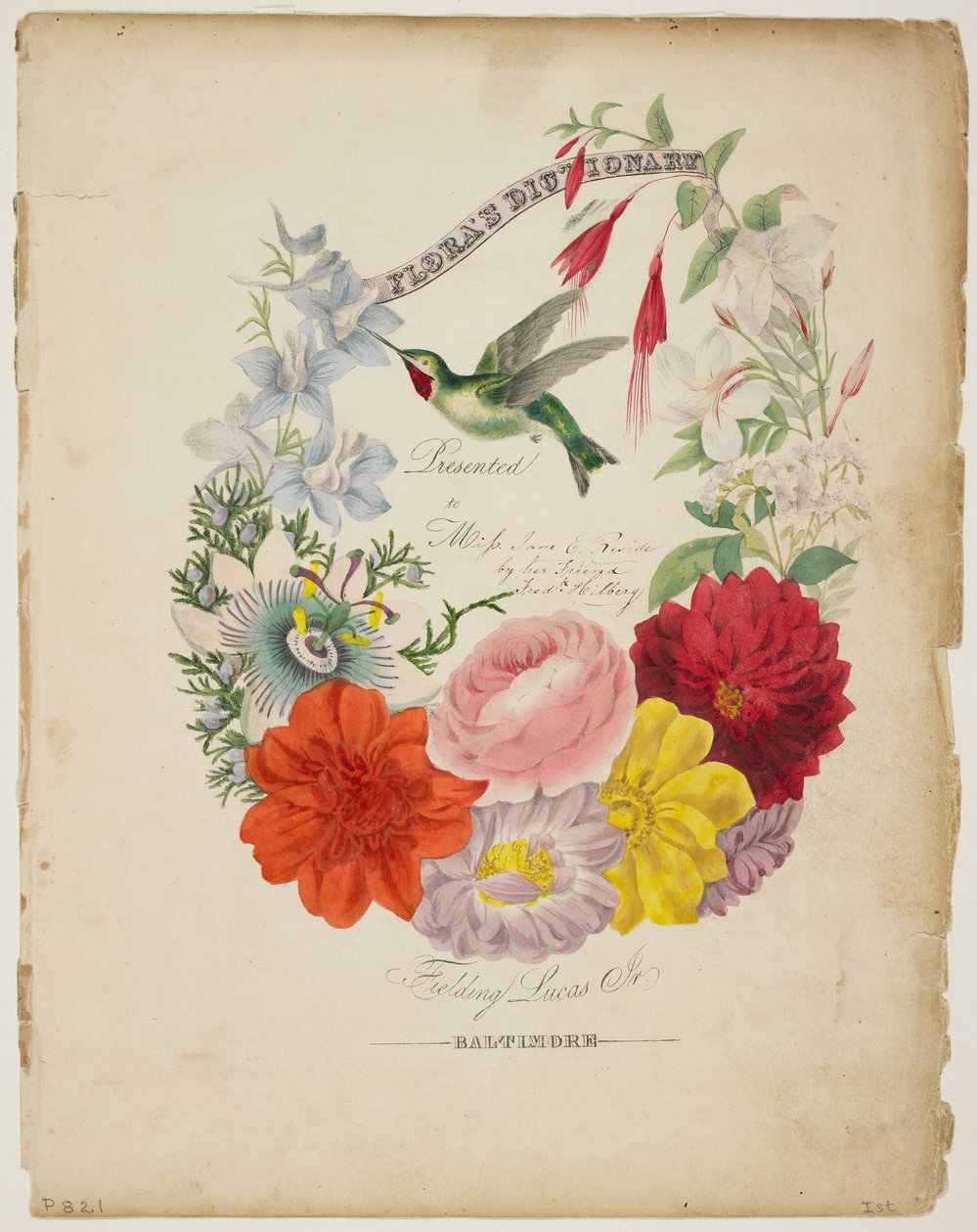 Esittelysivu, Kukkaseppele ja Humming Bird, Floran sanakirjasta, 1838 tekijältä E. W. Wirt