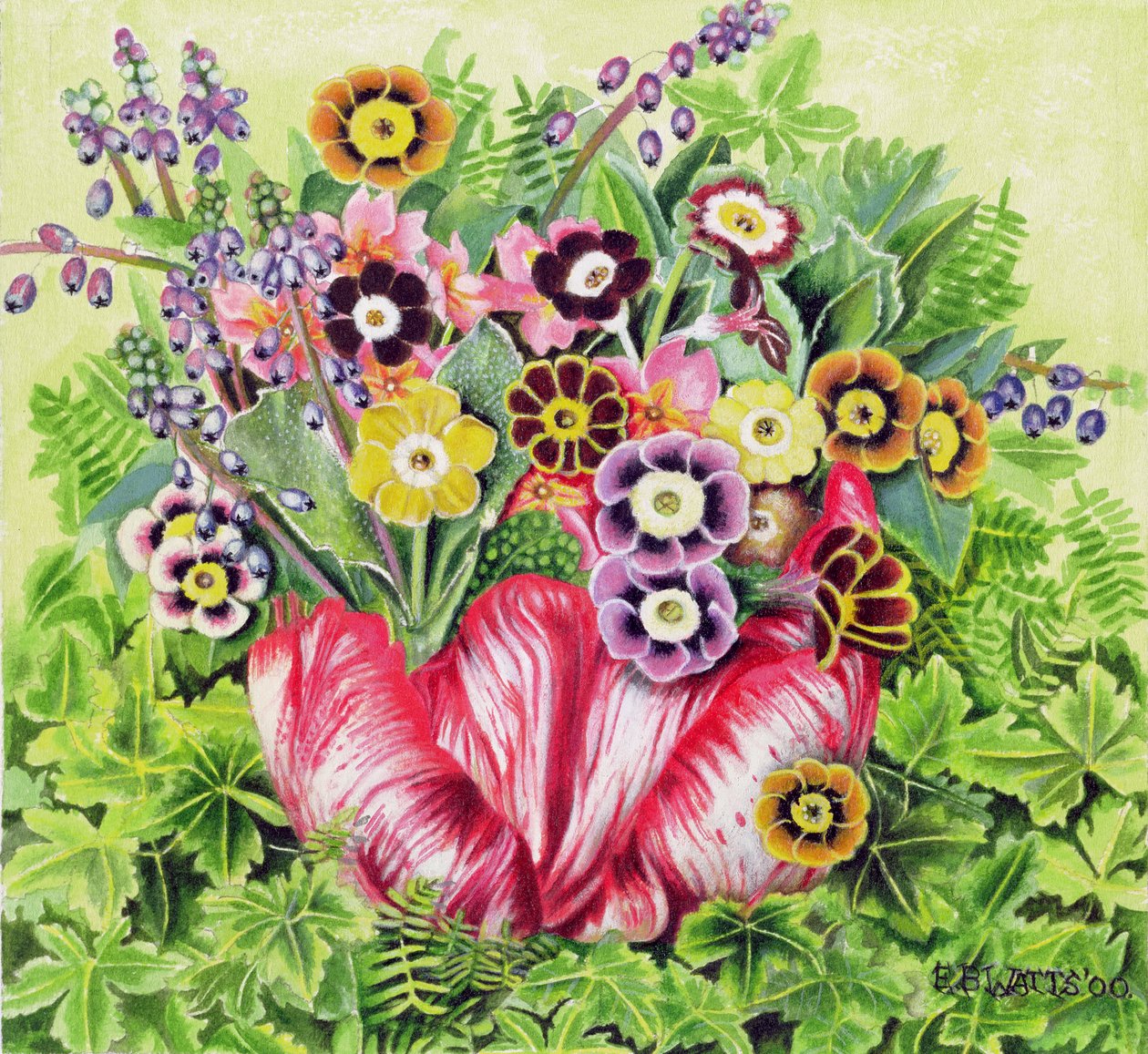 Auriculas, 2000 (akryyli kankaalle) tekijältä E.B. Watts