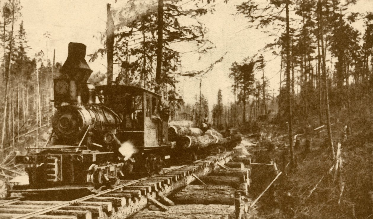 Metsästysrautatie, British Columbia, 1930. tekijältä ENA