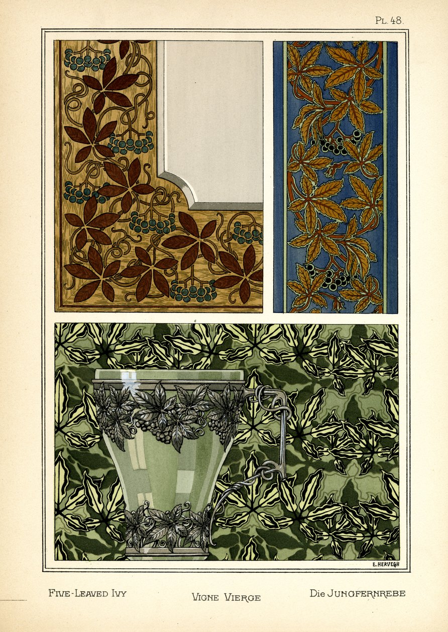 Viisilehtinen Ivy tekijältä E. Hervegh