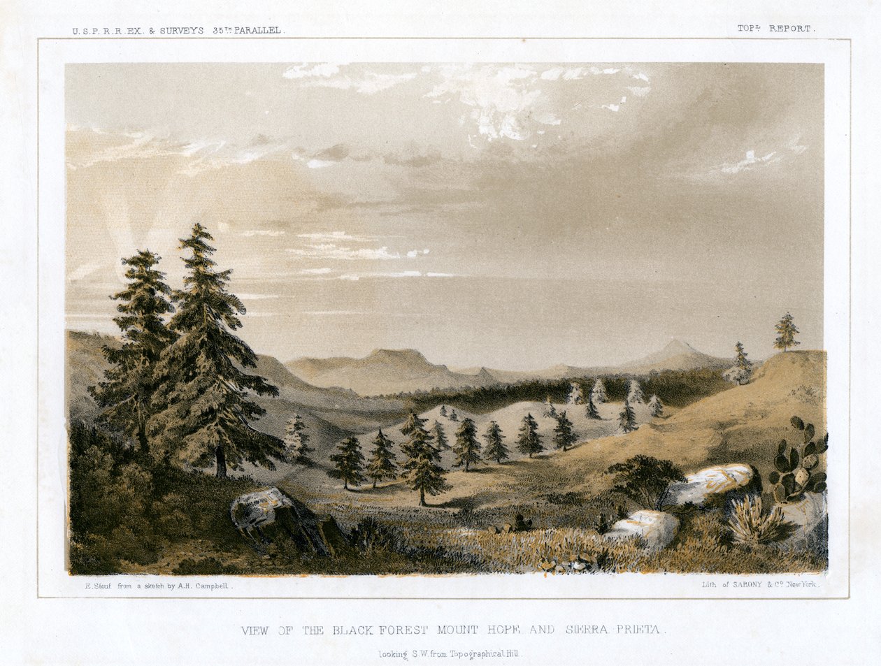 Black Forest Mount Hope ja Sierra Prieta, USA, 1856. tekijältä E Stout