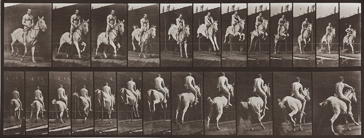 Eläinten liikkuminen, levy 646 tekijältä Eadweard Muybridge
