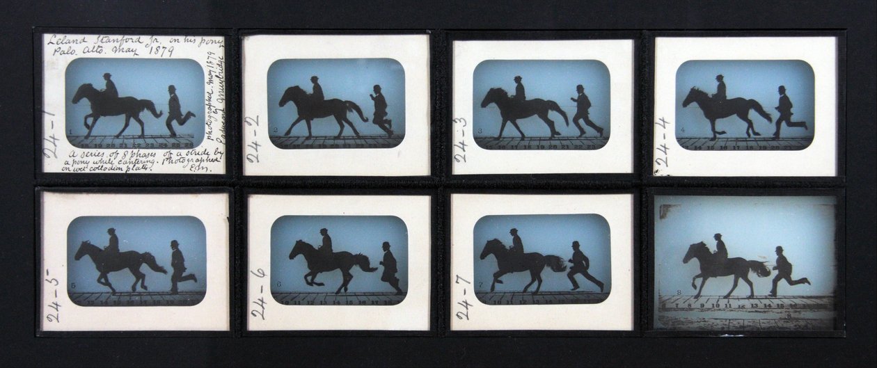 Leland Stanford Jr. hänen Pony Gypsy tekijältä Eadweard Muybridge