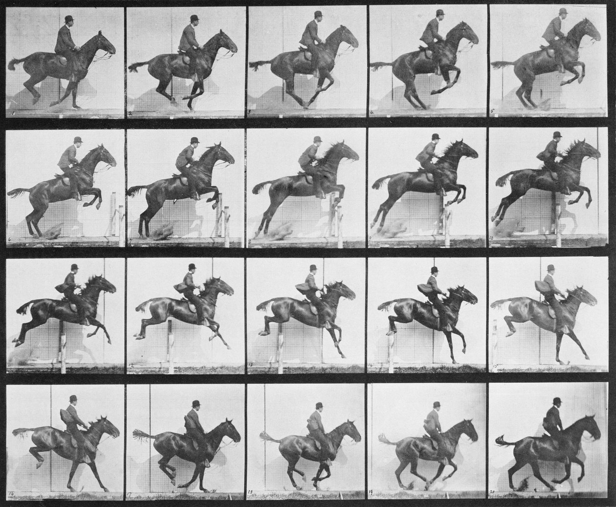 Mies ja hevonen hyppäämässä aidan yli, levy 640 Animal Locomotionista, 1887 tekijältä Eadweard Muybridge