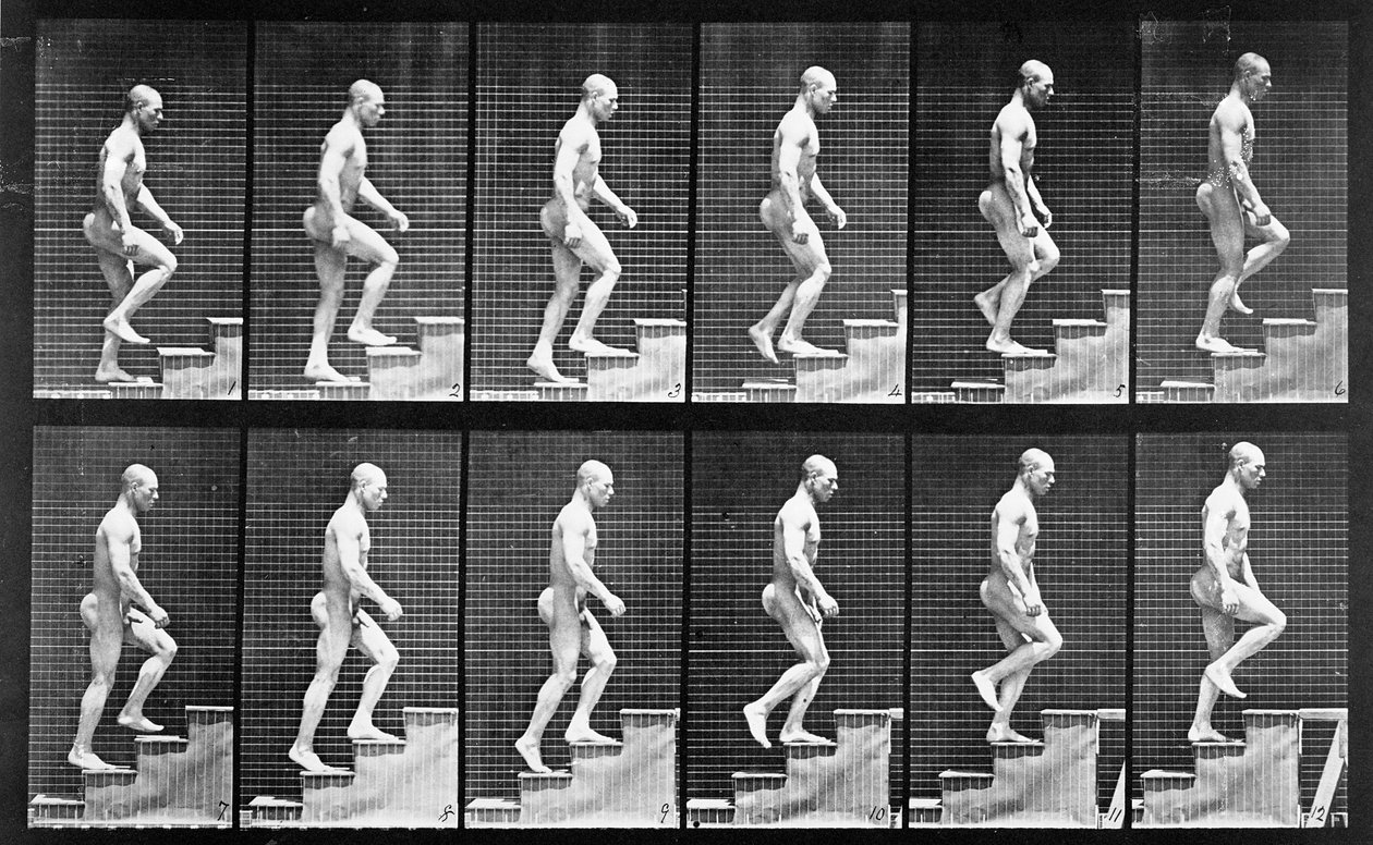 Mies nousemassa portaita, elokuvasta Animal Locomotion, 1887 tekijältä Eadweard Muybridge