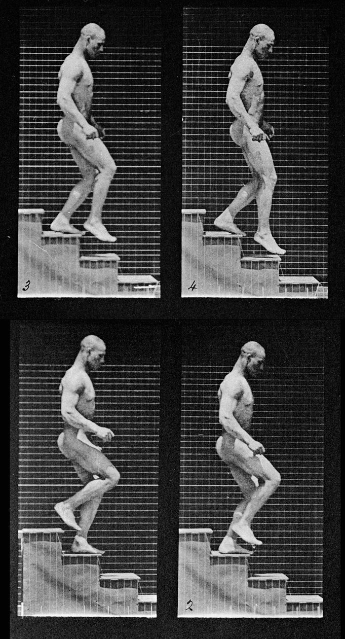 Mies laskeutuu portaita, "Animal Locomotion", 1887 (yksityiskohta 425605) tekijältä Eadweard Muybridge