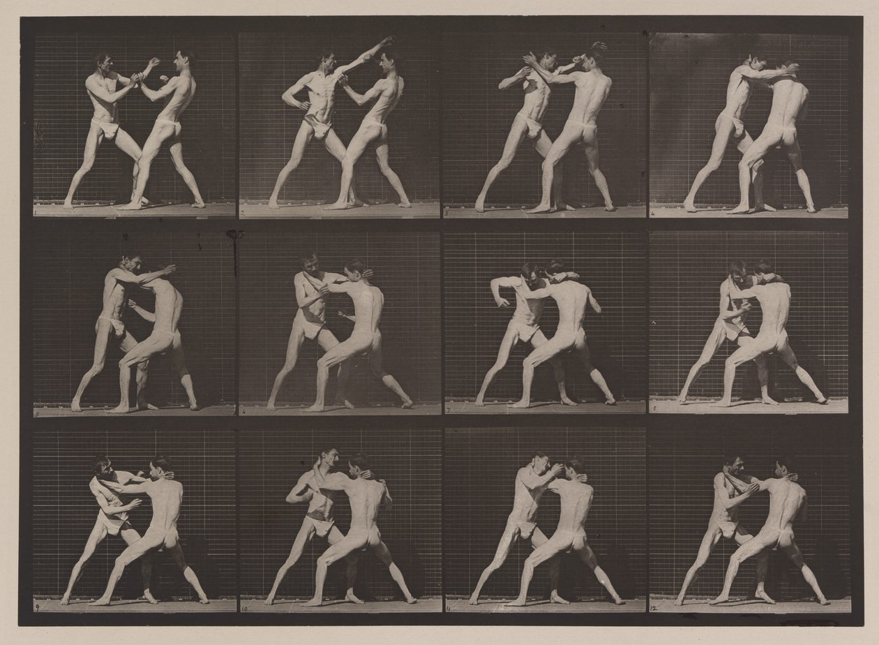 Kilven numero 340. Nyrkkeily; avoin käsi (kengät), 1887 (kollotyyppi) tekijältä Eadweard Muybridge