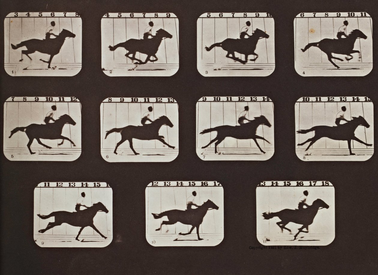 Sallie Gardner juoksee elokuvasta The Attitudes of Animals in Motion tekijältä Eadweard Muybridge