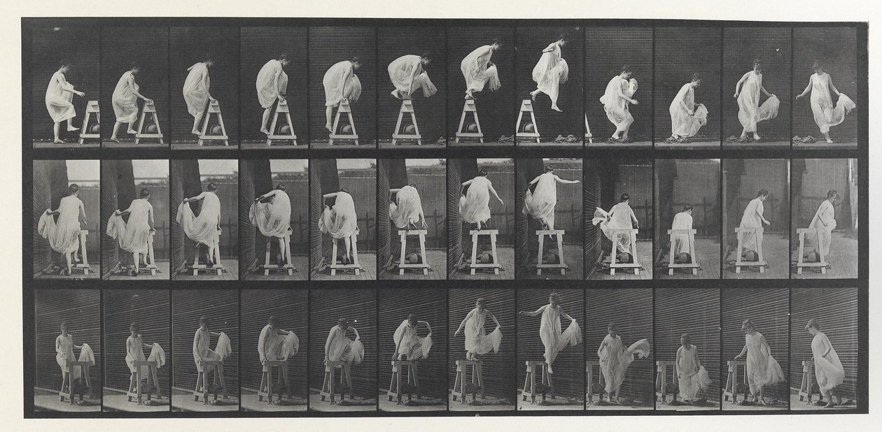 Eläinten liikkumislevy tekijältä Eadweard Muybridge
