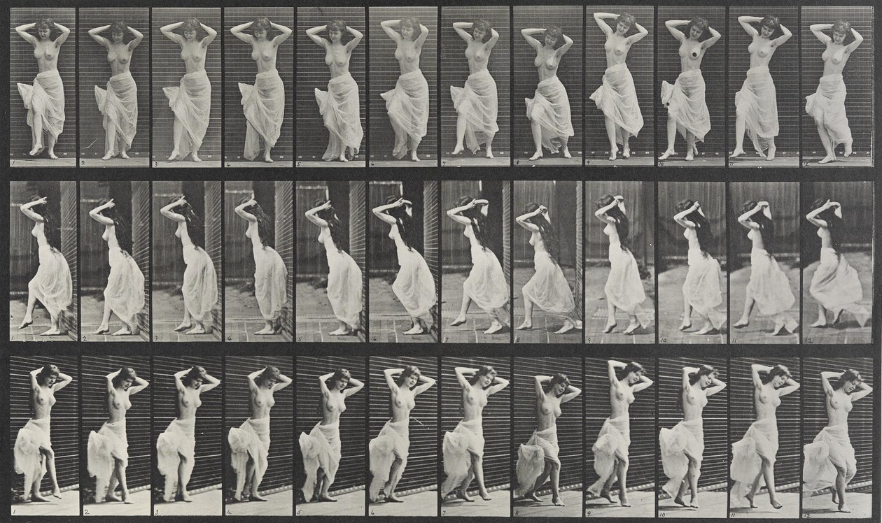 Eläinten liikkumislevy 190 tekijältä Eadweard Muybridge