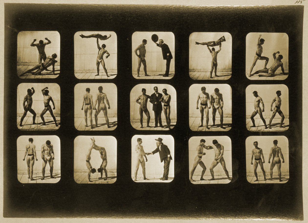 Animal Locomotion -sarjan urheilijat, n. 1881 tekijältä Eadweard Muybridge