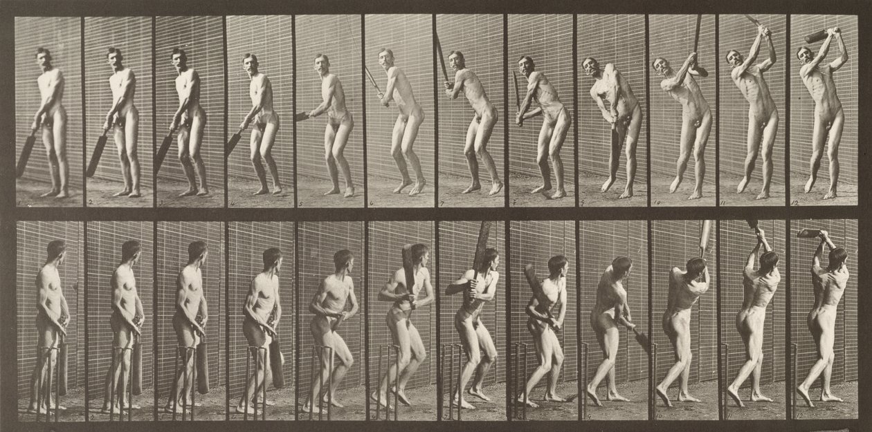 Kriketti, levy 291, Animal Locomotion, 1887 tekijältä Eadweard Muybridge
