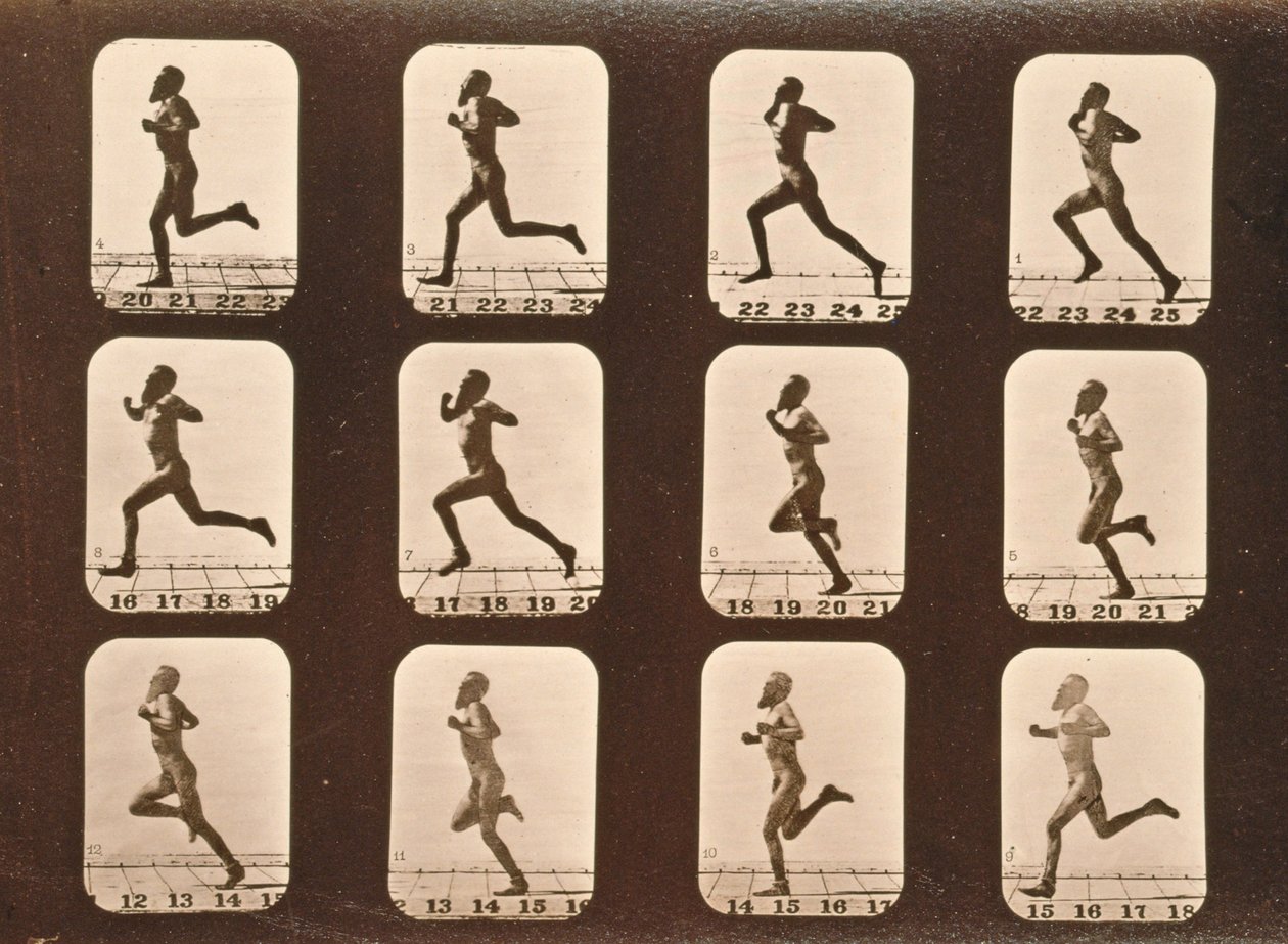Urheilijoiden kuvasarja. Running, Animal Locomotion -sarja, n. 1881 tekijältä Eadweard Muybridge