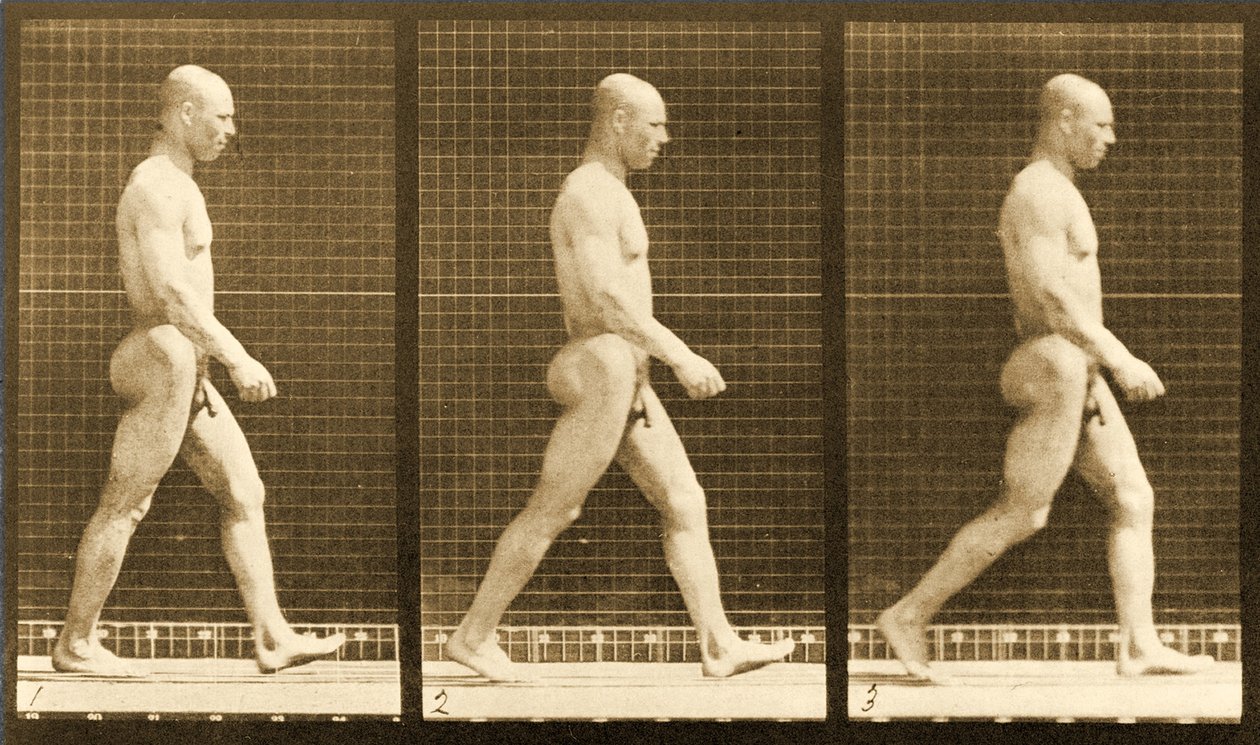 Kuvasarja alaston miehestä kävelemässä, Animal Locomotion -sarja, n. 1881 tekijältä Eadweard Muybridge