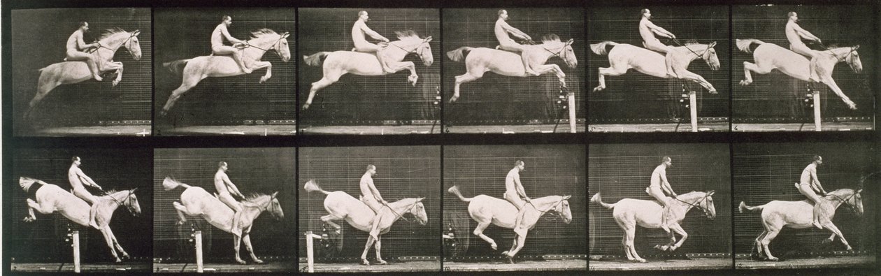 Mies ja hevonen hyppäämässä aidan yli, levy 643 Animal Locomotionista, 1887 tekijältä Eadweard Muybridge