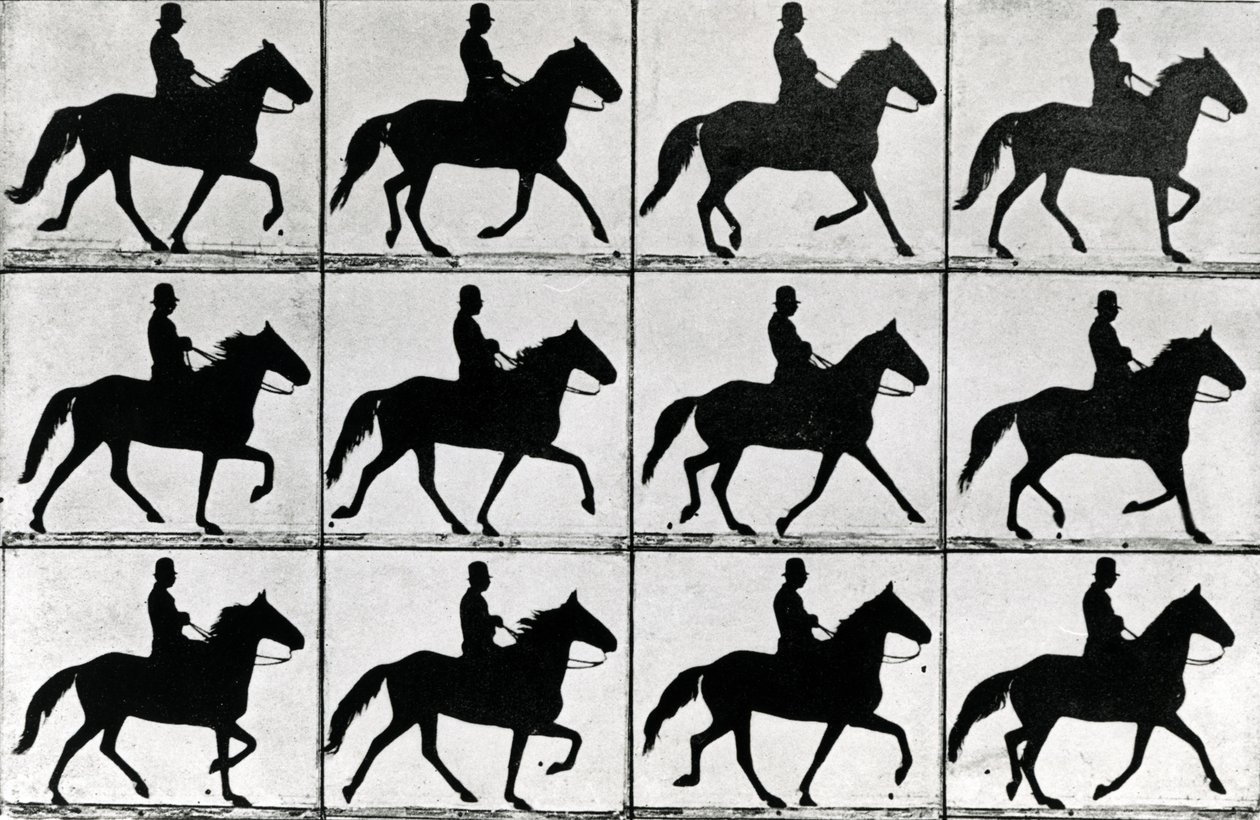 One Stride in Eleven Phases, 1881, kuvitus Eadweard Muybridgen teoksesta Animals in Motion, 1907 painos tekijältä Eadweard Muybridge