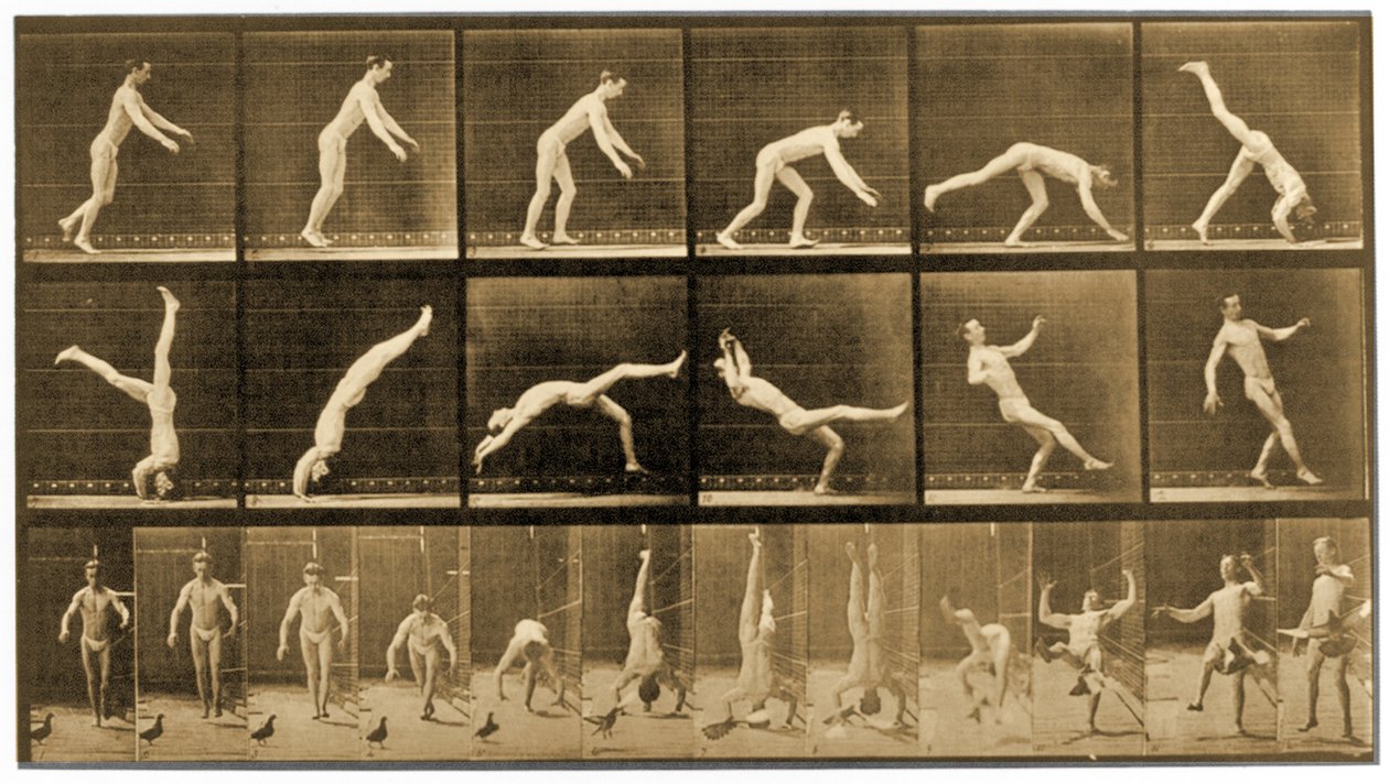 Lauta "Animal Locomotion" -sarjasta, n. 1887 tekijältä Eadweard Muybridge