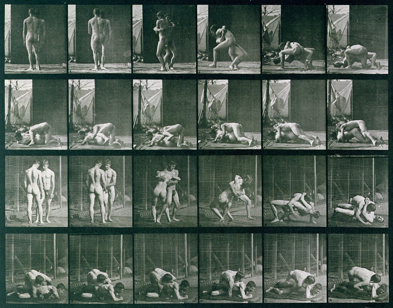 Two Men Wrestling, levy 346 Animal Locomotionista, 1887 tekijältä Eadweard Muybridge