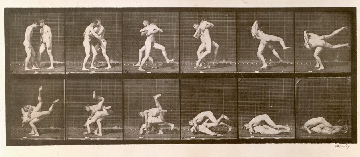 Two Men Wrestling, levy 347 elokuvasta Animal Locomotion, 1887 tekijältä Eadweard Muybridge