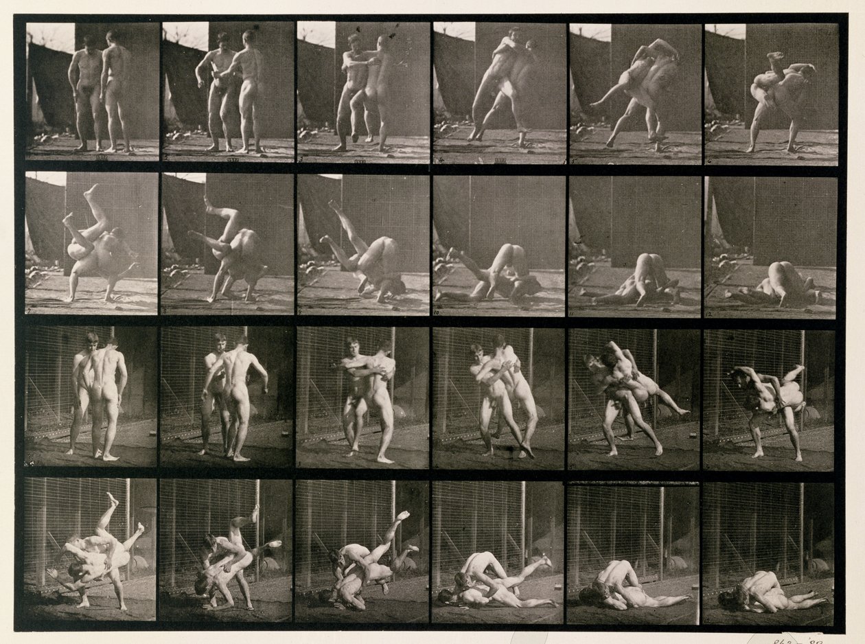 Two Men Wrestling, levy 348 elokuvasta Animal Locomotion, 1887 tekijältä Eadweard Muybridge