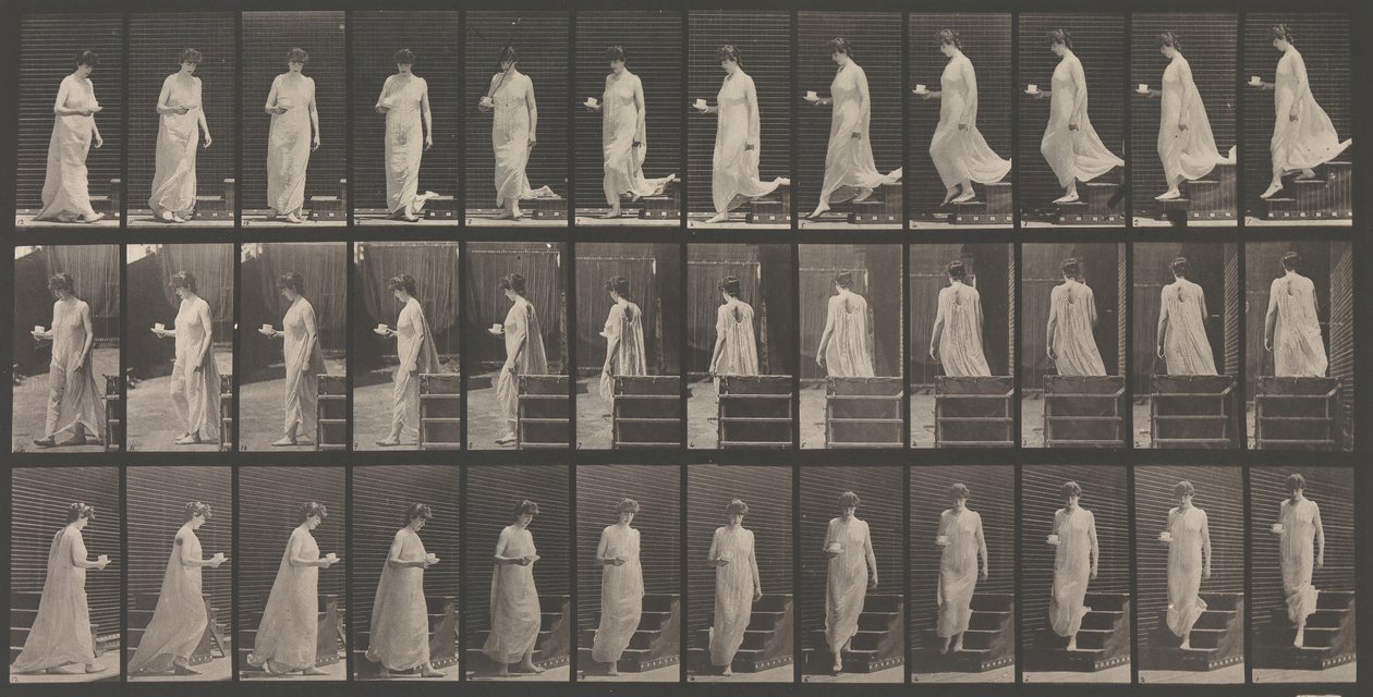 Eläinten liikkuminen. Eläinten liikkeiden sähkövalokuvatutkimus. Alkaa..., 1880-luku. tekijältä Eadweard Muybridge