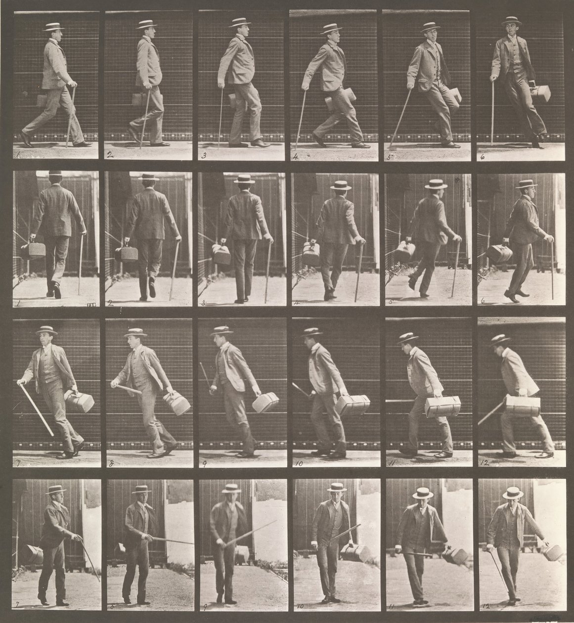 Eläinten liikkuminen. Sähkövalokuvatutkimus... eläinten liikkeistä. Alkaa..., 1880-luku. tekijältä Eadweard Muybridge