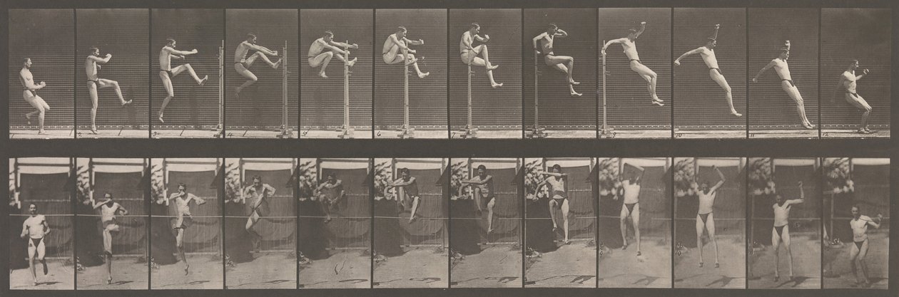 Locomoció animal. Una investigació electrofotogràfica de les fases consecutives dels animals..., dècada de 1880. finlandès tekijältä Eadweard Muybridge