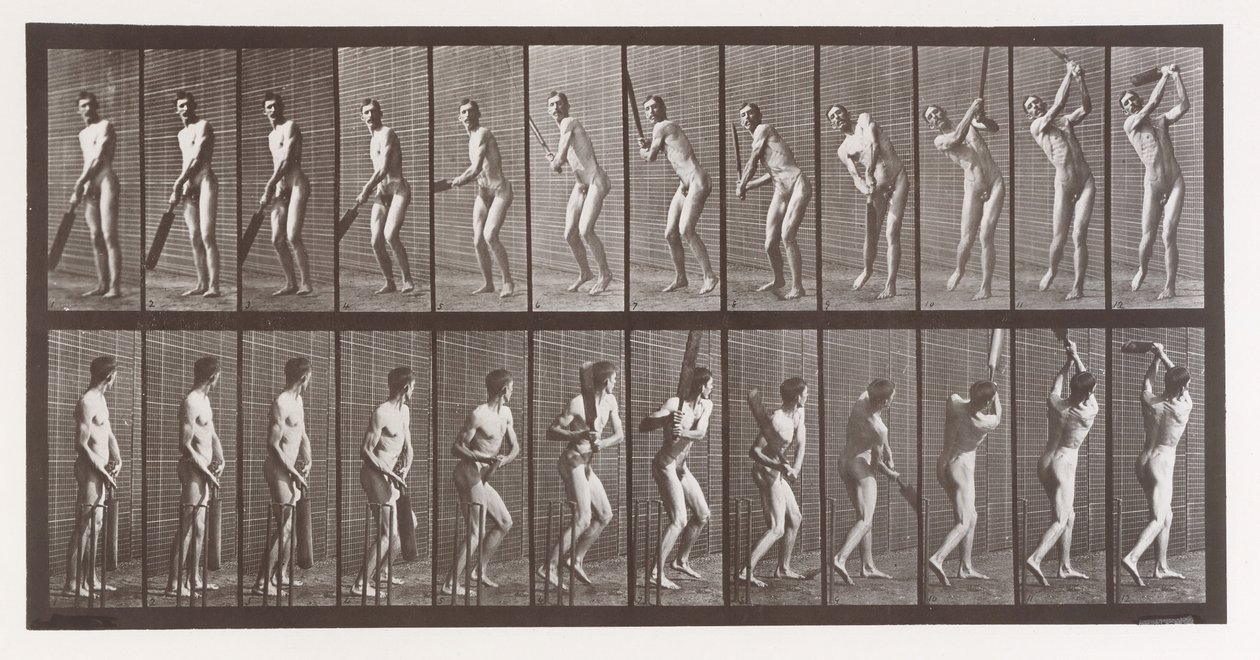 Eläinten liikkuminen. Eläinten peräkkäisten vaiheiden sähkövalokuvaus..., 1880-luku. tekijältä Eadweard Muybridge