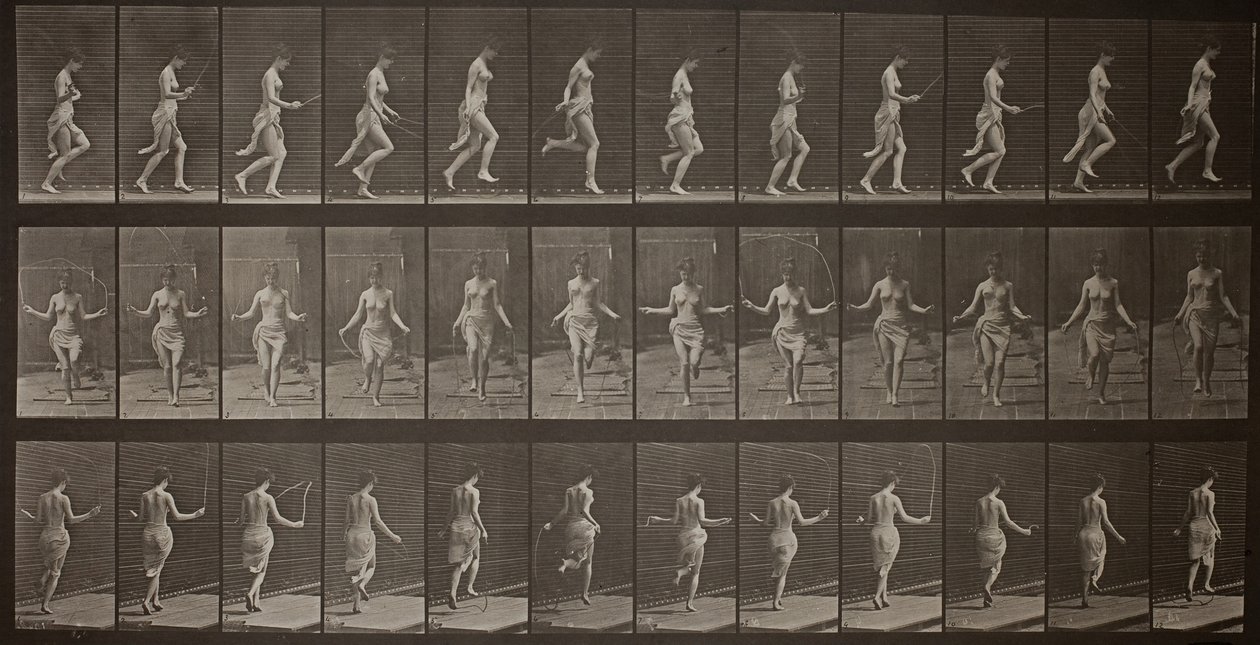 Animal Locomotion, levy 174, 1887. tekijältä Eadweard Muybridge