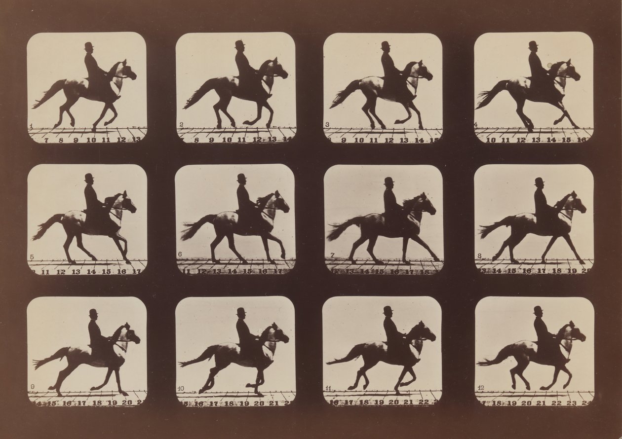 Attitudes of Animals in Motion, 1879, painettu 1881. tekijältä Eadweard Muybridge
